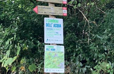 M.Sommer House - Foto 2