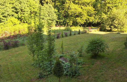 Pałac Paprotno - Foto 7