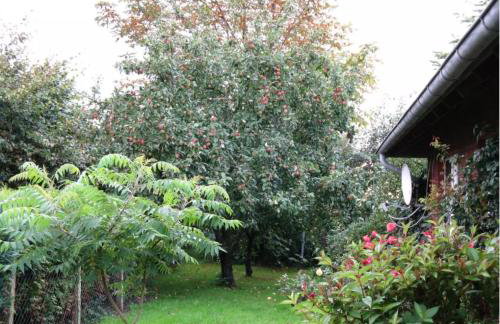 Ferienhaus Ockholm - Foto 7