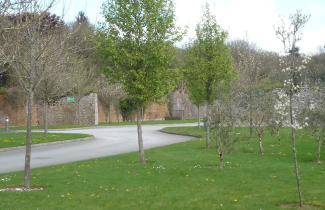 Castlemartyr Mews - Photo 28