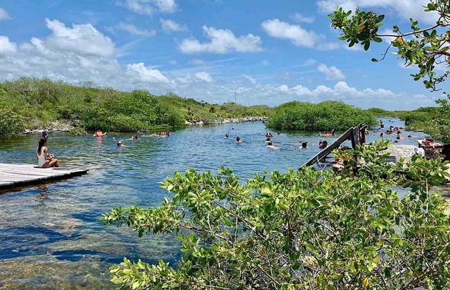 Entdecke eine erstaunliche Welt: Cenote-Erkundung und Dschungelflug. Büffet inklusive - Foto 8