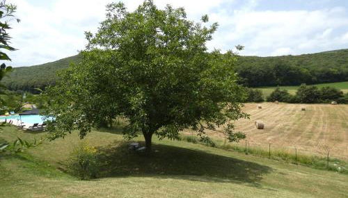 SCAPPO IN UMBRIA,Casale Vallenera - Foto 4