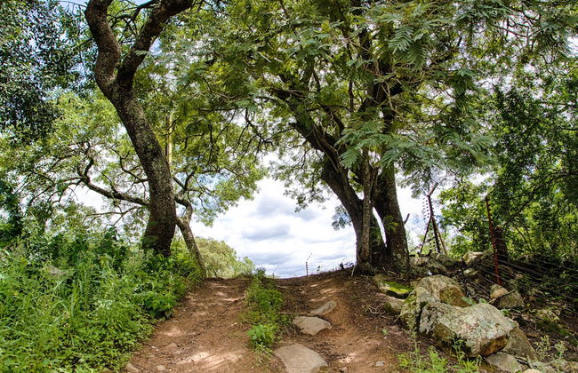 Near2Numbi - Foto 68