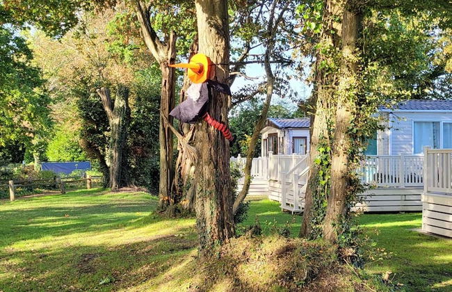 New Forest 2-bed Premium Holiday Home, New Milton - Foto 23