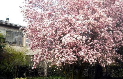 Sentirsi a casa, lontano da casa-feel at home away from home - Foto 28