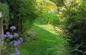 Gatti di Langa - Foto 7