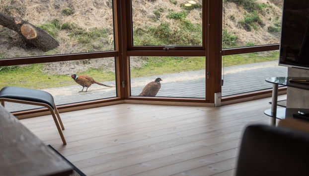 6 Person Holiday Home in Fano - Foto 5, Interior