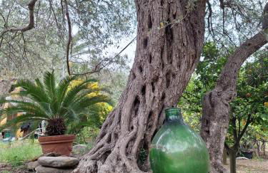 Casa Vacanze Geppy e Minù Gole Alcantara - Foto 15