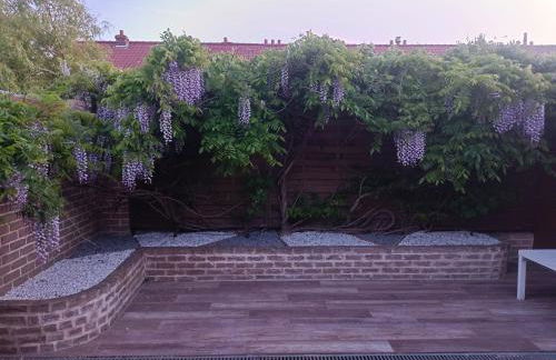 Studio Mer & Aa-terrasse-jardin-WIFI-parking-classé 3 étoiles - Foto 55