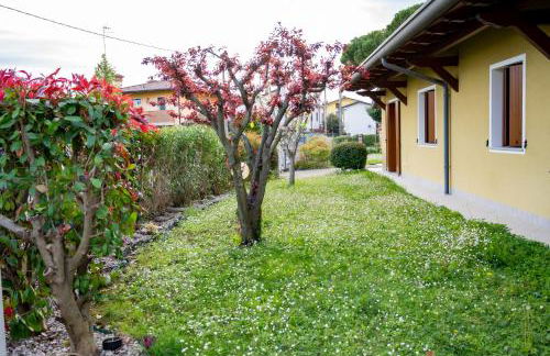 Residence Stradella Verde - Photo 9