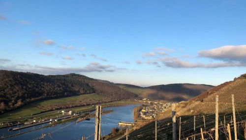 Romantisches Studio 4 Rosenburgblick in Moselnähe - Foto 2