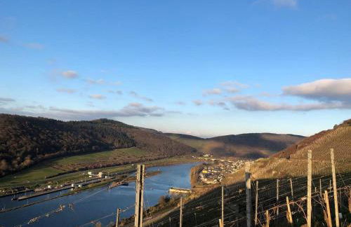 Gemütliches Studio Rosenburgblick in Moselnähe - Foto 9