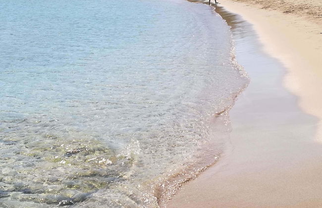 Ktima Grammeno - Foto 17