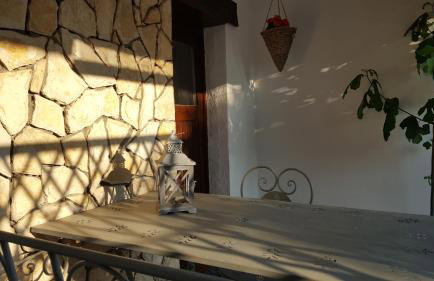 Tvrdic Honey - Photo 20