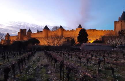 Domaine Fontgrande Gîte - Photo 20