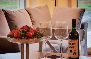 DomkiTomki, Winnica Sindaco - Foto 68