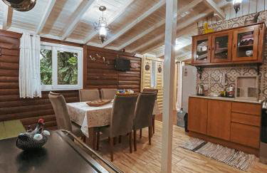 Sítio com piscina, churrasqueira, lareira, fogão à lenha, mesa de sinuca e vista para as montanhas - Foto 33