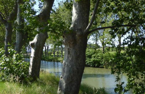 T2 à Sérignan Hérault - Foto 15