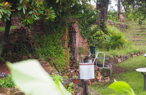 Mas Cal Sastre - Foto 51