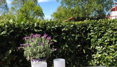 Ferienwohnung Härtings Hygge - Foto 4