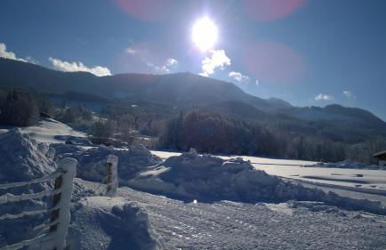 Ferienhaus Luise - Foto 14