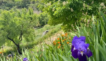 Alcarria , Casa del Agua - Foto 3