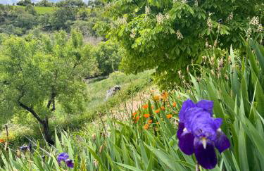 Alcarria , Casa del Agua - Foto 3