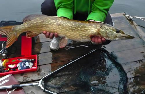 Bungalow am See mit Ruderboot in Klein Labenz - Foto 42