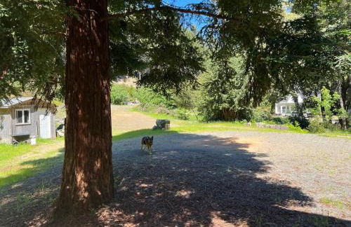 Rustic River Retreat - Foto 7