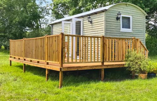 Badgers - Uk46750 - Foto 2