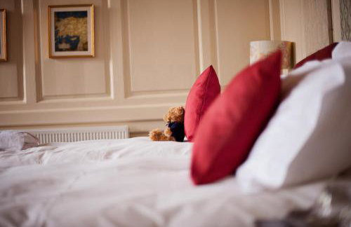 Plas Nanteos Mansion - Foto 15