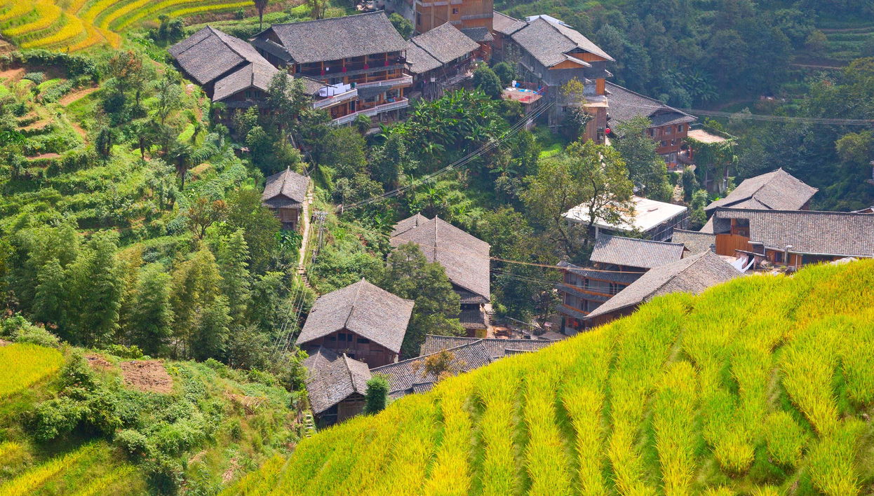 Tour privado por las terrazas de arroz - Foto 1, Tour privado por las terrazas de arroz