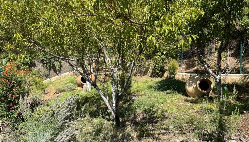 Casas Rurales Cerro Lobo - Foto 2, Garden