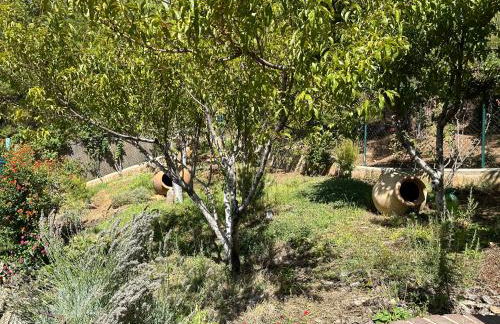 Casas Rurales Cerro Lobo - Foto 2