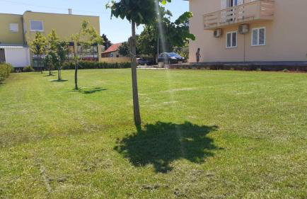 Apartmani Loli - Foto 30