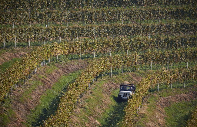 Holiday House Podhamer Boris With Private Wellness - Foto 28