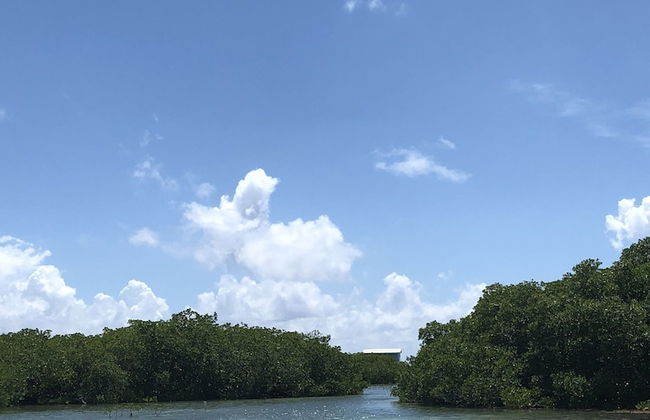 Shaka Caye - Photo 33