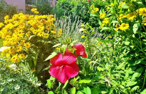 Casa Vacanze Family - Foto 52