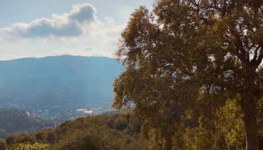 Casa la meridiana - Foto 5