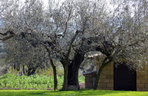 Il Casale degli Ulivi - Foto 11