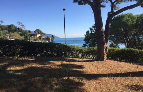 Il nido della gazza - Foto 11