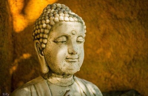 Quinta do Guerra - Foto 42