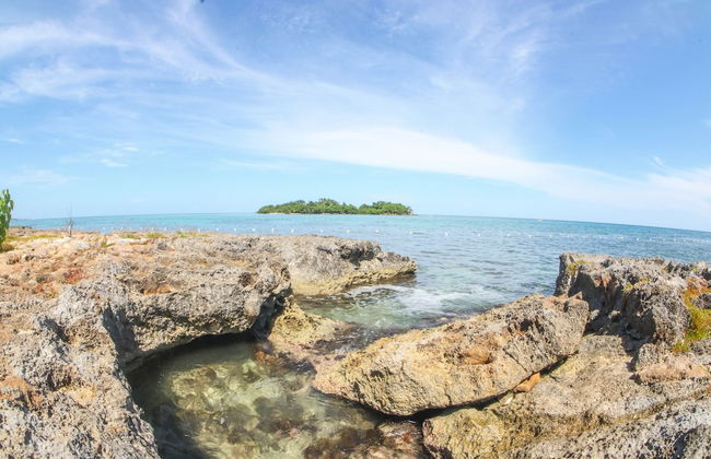 Point Village Studios and Suites - Photo 53