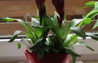 Stollenklause - Foto 19