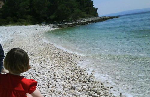 Luxury Seaside Villa with a classic Mediterranean Olive Garden, a fully equipped Professional Kitchen, Pool, Sauna, Padle Boards and Canoe - Miolin Beach House - Photo 34