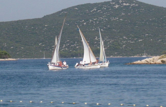 Apartments Paula - One Bedroom Apartment With Terrace 1 - Photo 27