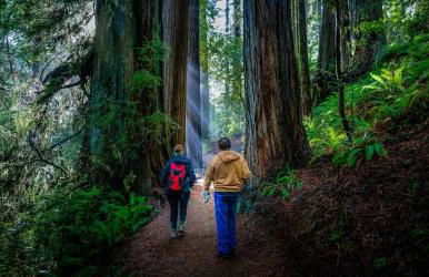 Birdwatch Cottage With River Beach Pass - Photo 32
