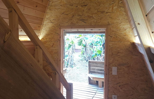 Banana Eco Camp - Foto 64