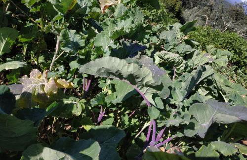 A Casa dos Avós - Alojamento Local - Foto 49