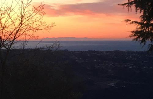 Le Domaine de Gattières - Foto 6